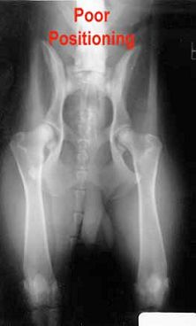 X-ray images