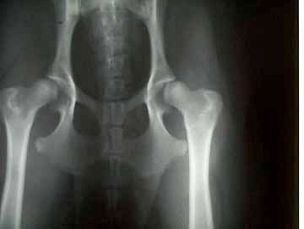 X-ray images