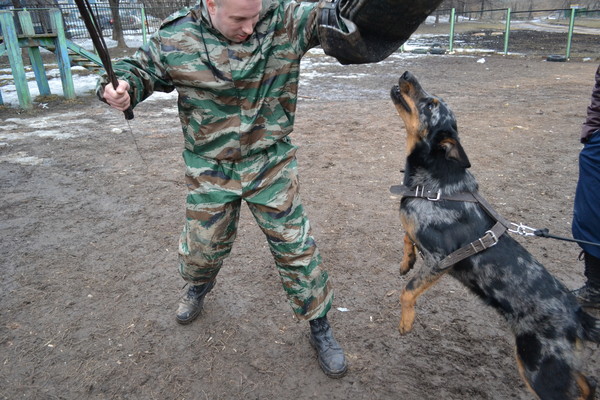 Graduates Kennel Kantrifolk